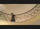 TELL ME SOMETHING Music Video 251