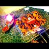 391343_286560421375338_283252851706095_968870_1629753396_n