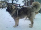 BRUNO 8 LUNI
