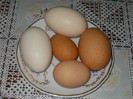 23.02.2012 005