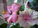 P1110740