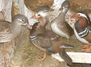 DSC01019