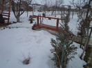 DSC01008