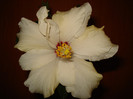 DSC01714