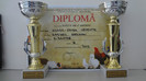 diploma