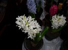 SAM_6149