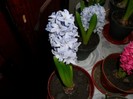 SAM_6150