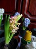 SAM_6152
