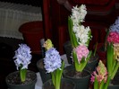 SAM_6155