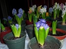 SAM_6157