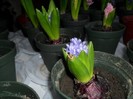 SAM_6158