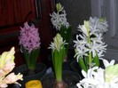 SAM_6162