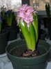 SAM_6166