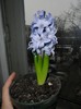 SAM_6167