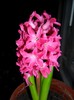 SAM_6177