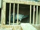 SL275468