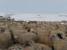 DSCN1157