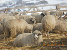 DSCN1164