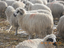 DSCN1165