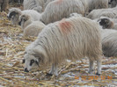 DSCN1167