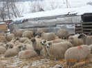 DSCN1170