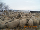 DSCN1171
