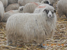 DSCN1185