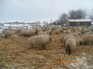 DSCN1194