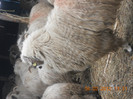 DSCN1202
