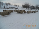 DSCN1249