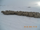 DSCN1251