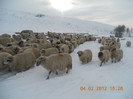 DSCN1254