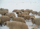 DSCN1257