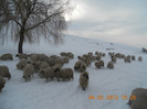 DSCN1258