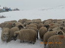 DSCN1260