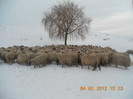 DSCN1268