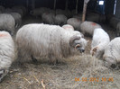 DSCN1311