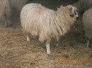 DSCN1328