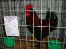DSC09172