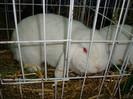 DSC09182