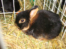 DSC09183