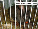DSC09186