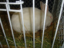 DSC09188