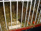 DSC09190
