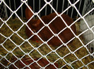 DSC09192