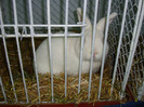 DSC09195