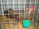 DSC09197