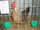 DSC09199