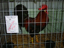 DSC09205