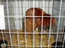 DSC09217